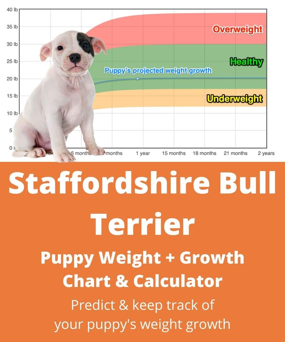 staffordshire-bull-terrier Puppy Weight Growth Chart